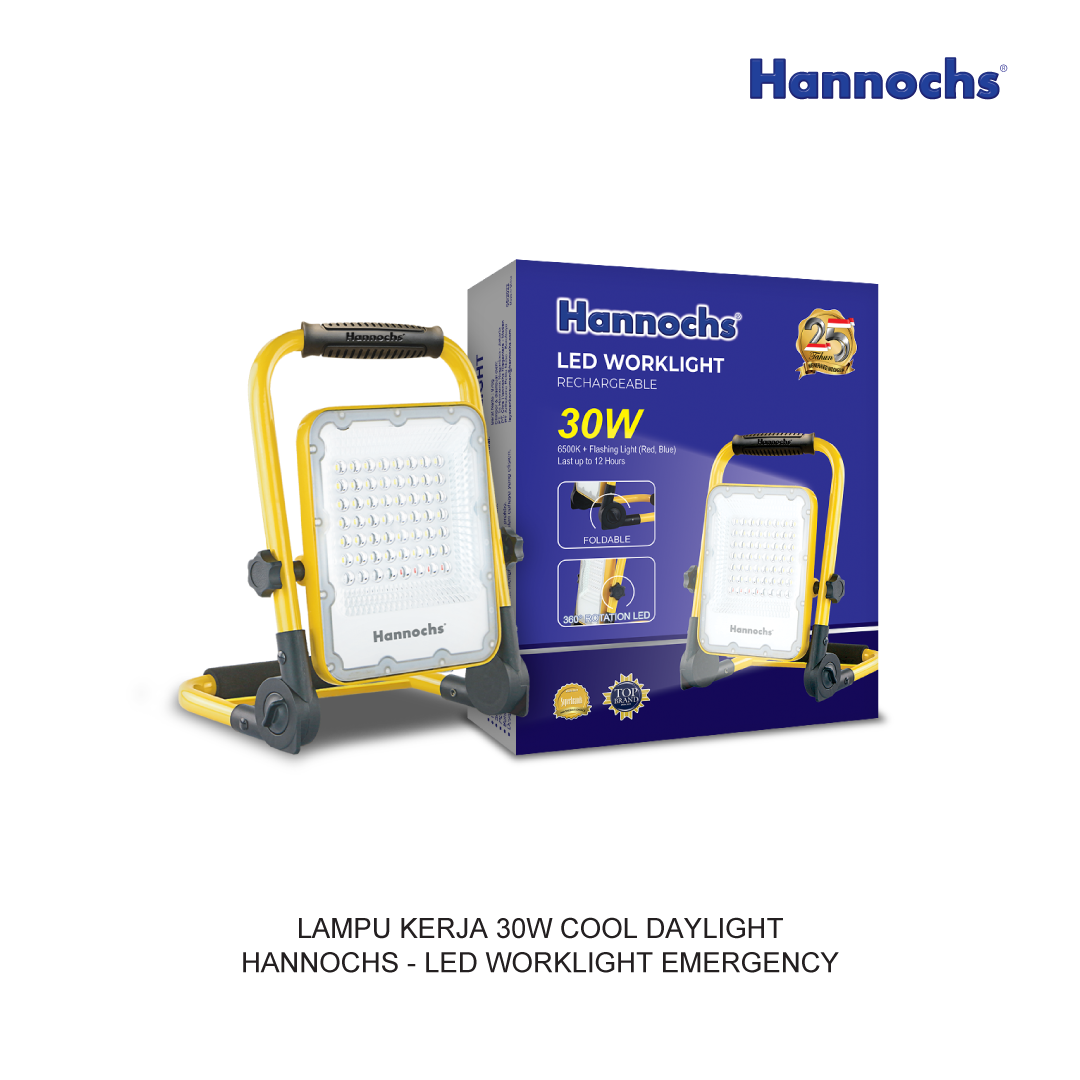 LED WORKLIGHT 30W COOL DAYLIGHT HANNOCHS