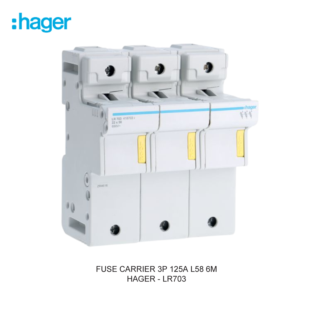 FUSE CARRIER 3P 125A L58 6M